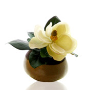 One Magnolia